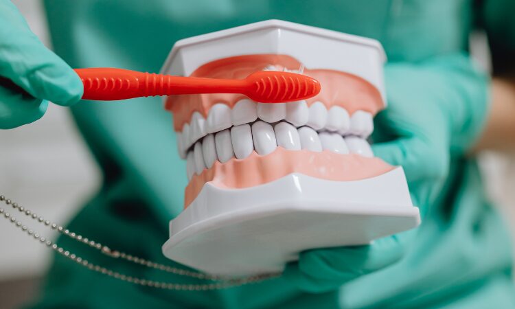 Catching gum disease in its early stages is crucial for preventing permanent damage to your gums, teeth, and even your overall health.